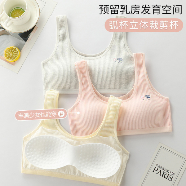 Premium Soft Cotton Ribbed Training Bra for Teenagers and Junior Girls - Multi-Color Pack 3